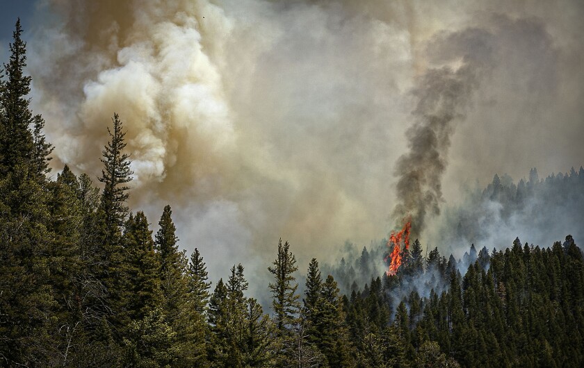 Un incendio forestal arde al este de la carretera 518 cerca de la línea del condado Taos,