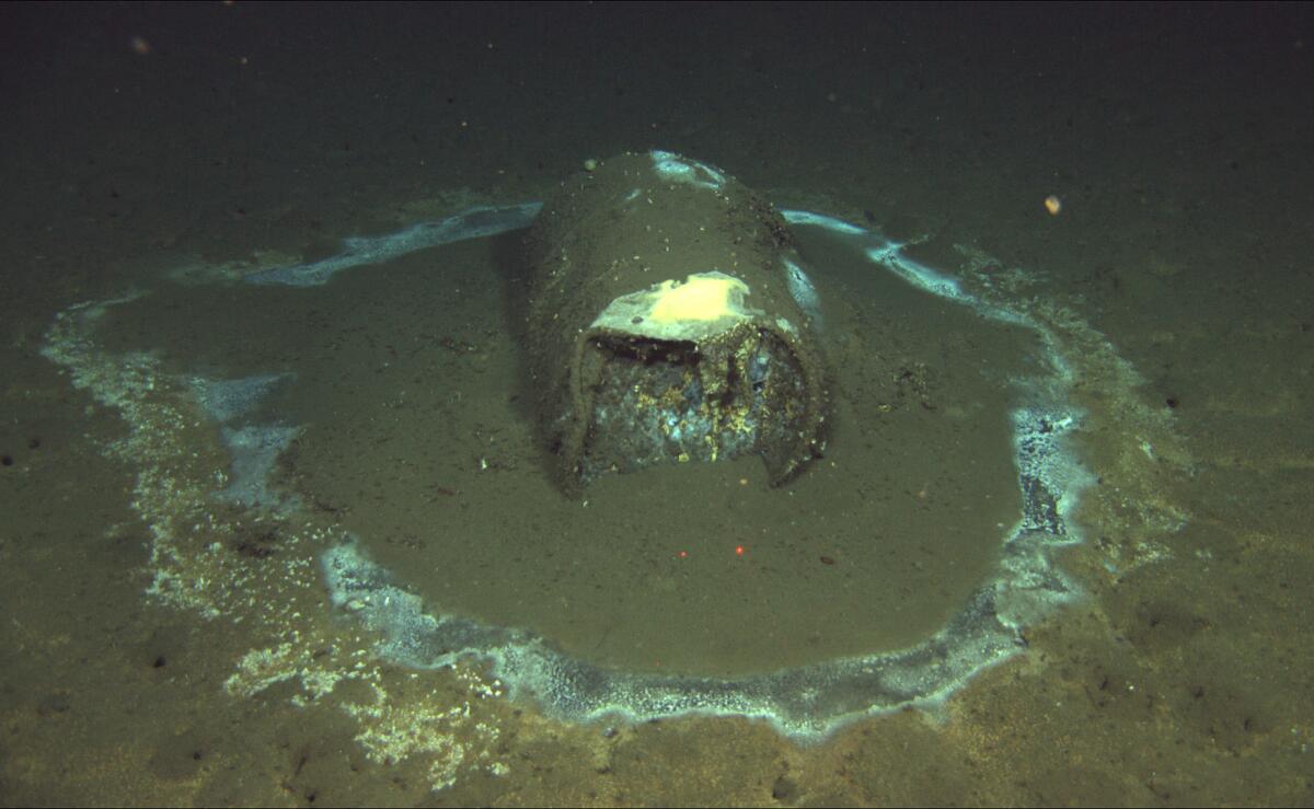 A decaying barrel on the seafloor.