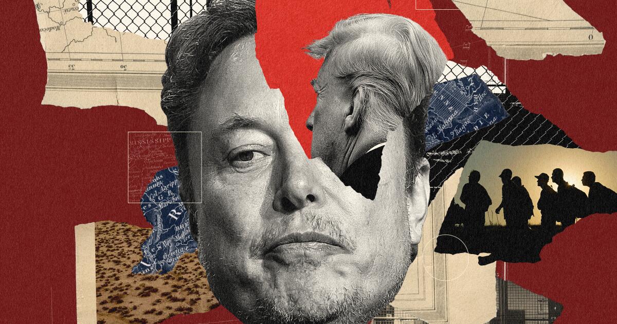 Elon Musk, America’s richest immigrant, is angry about immigration. Can he influence the election?