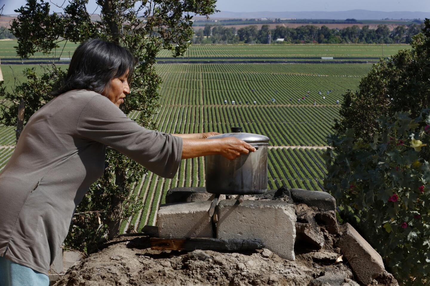 Baja California farm workers