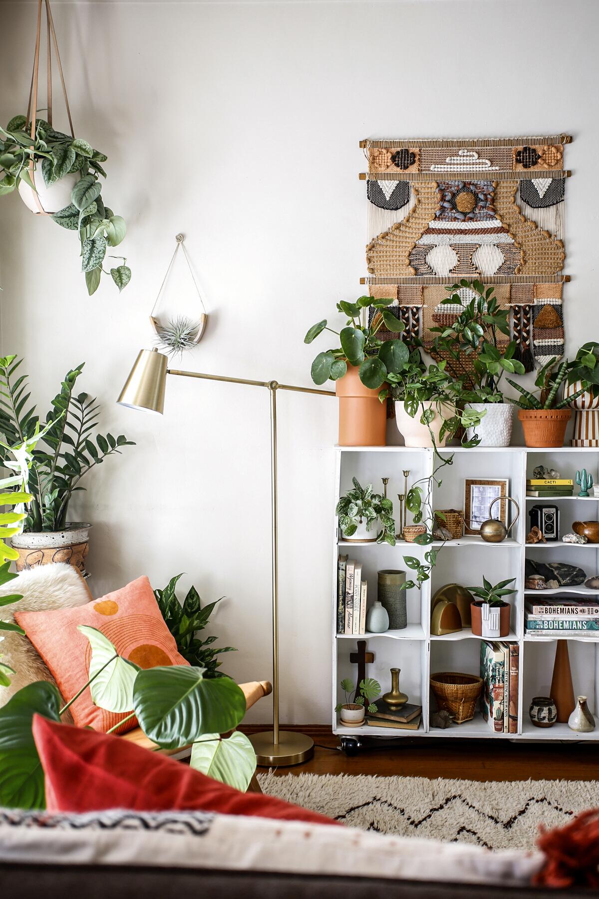 A sunny living room with plants hanging and on bookshelves