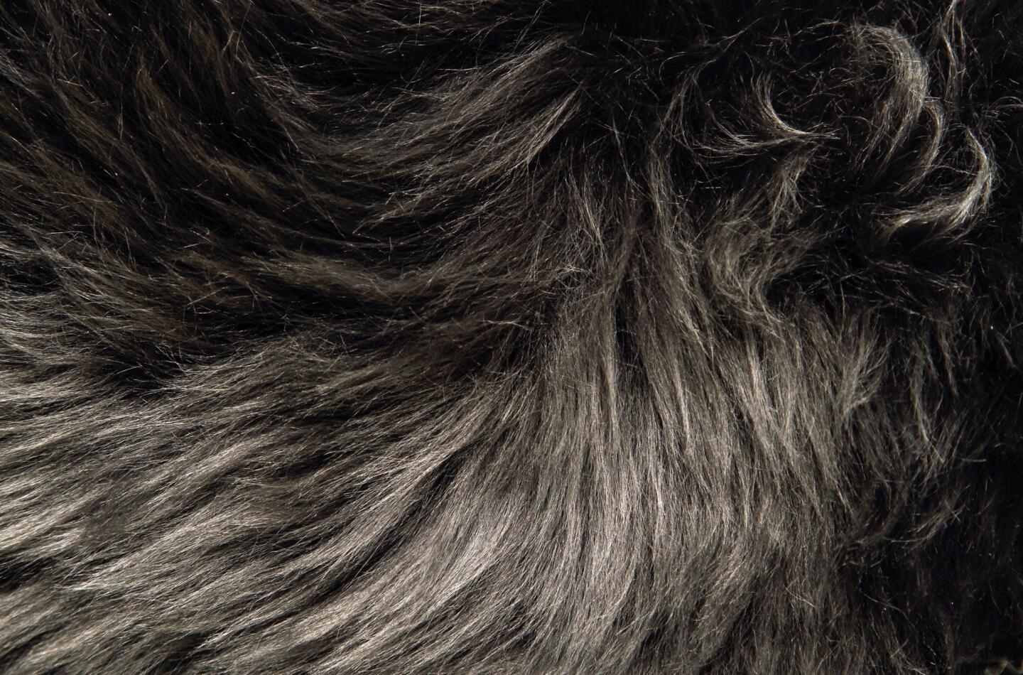 Sheepskin in Steel Grey, from Room & Board