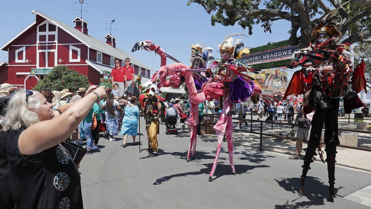 Dragon Knights greet visitors on opening day of the 2019 Orange County Fair.