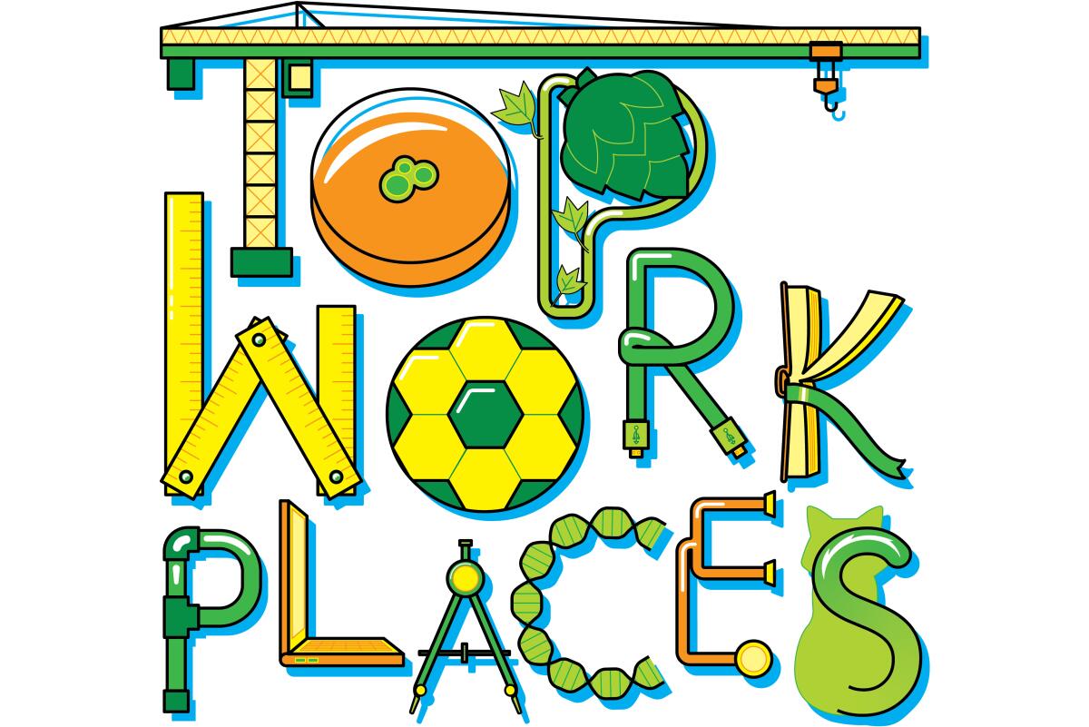 Top Workplaces 2022 illustration
