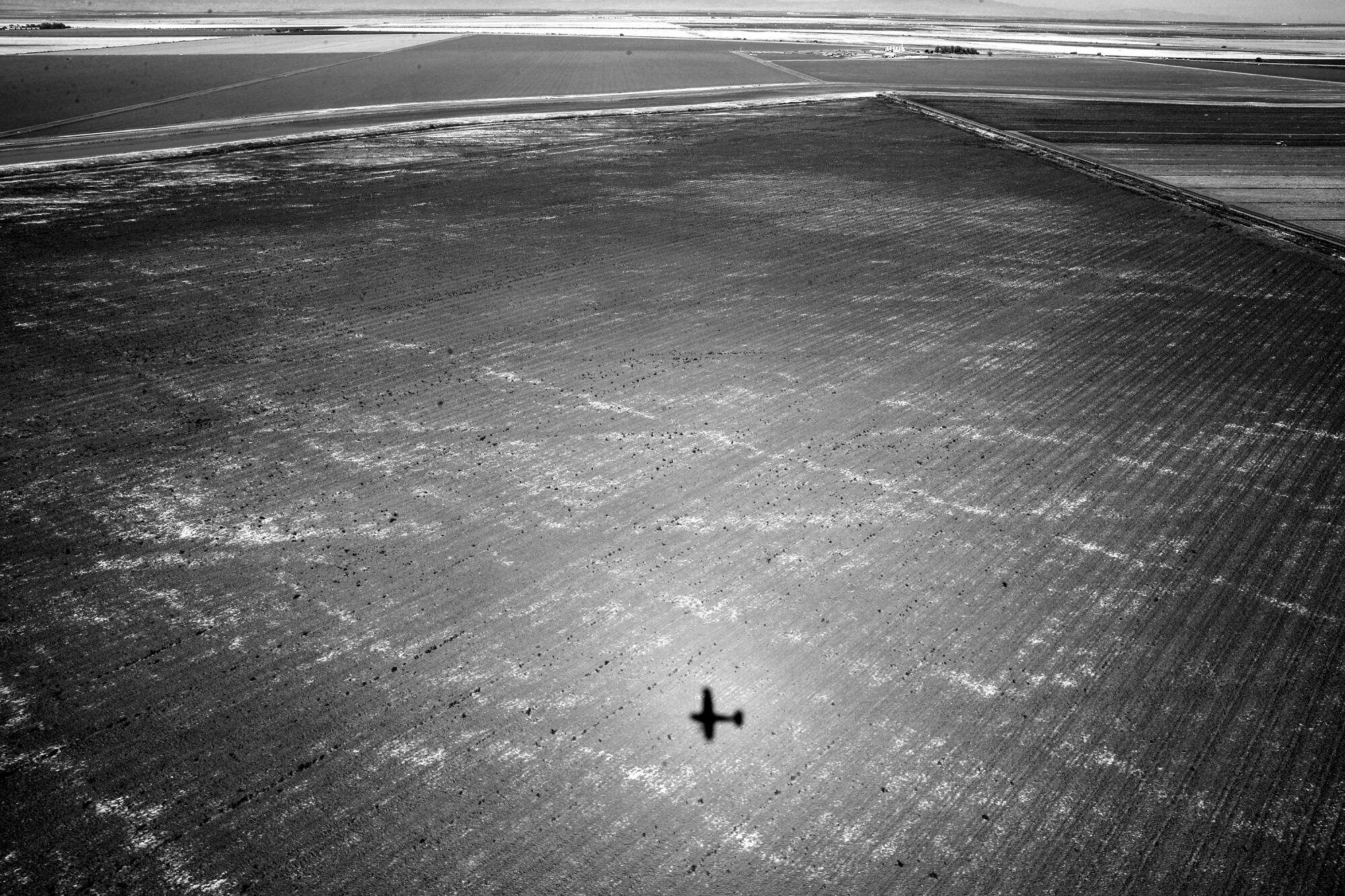 The shadow of small airplane passes over farmland.