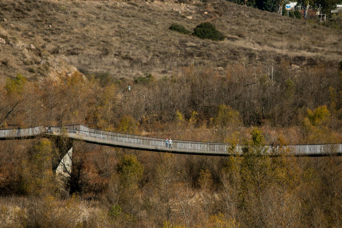 An elevated trail crosses woodland