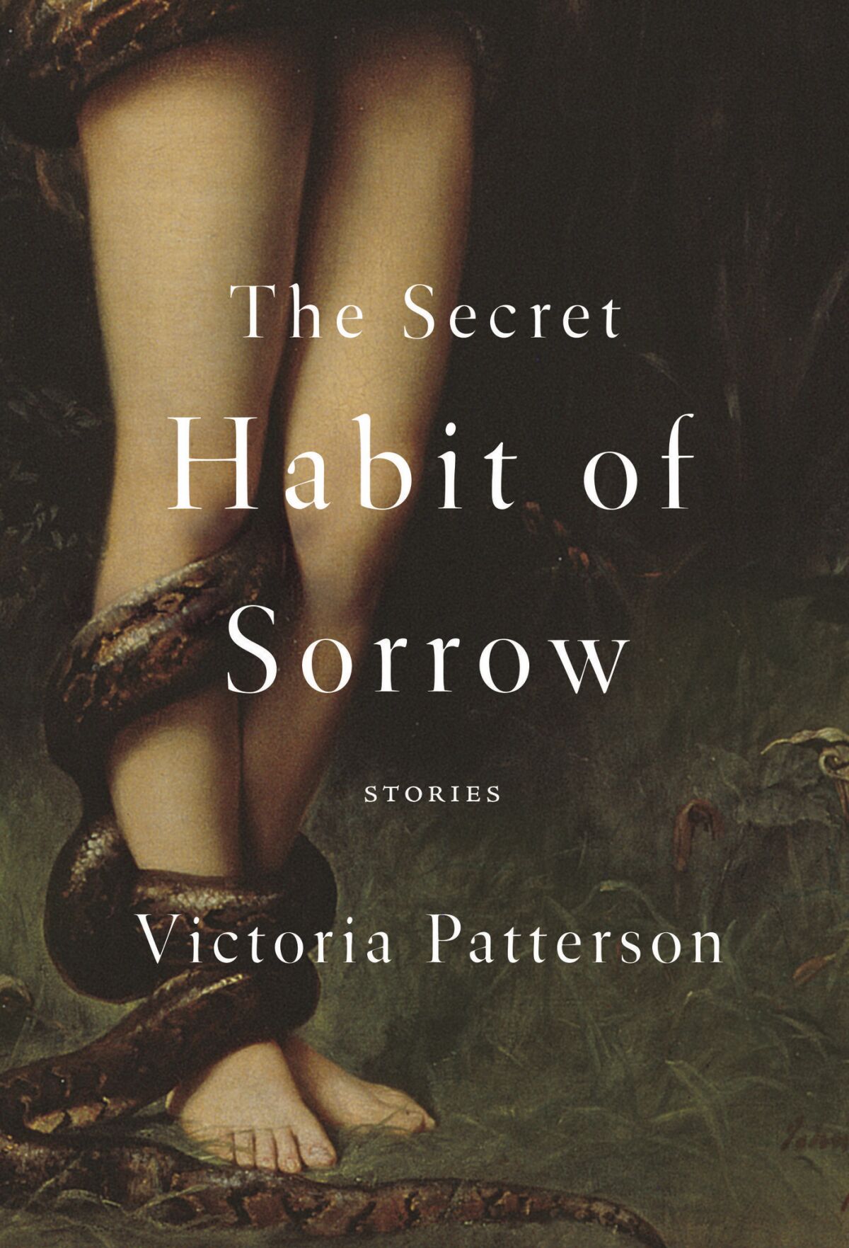 'The Secret Habit of Sorrow: Stories' by Victoria Patterson
