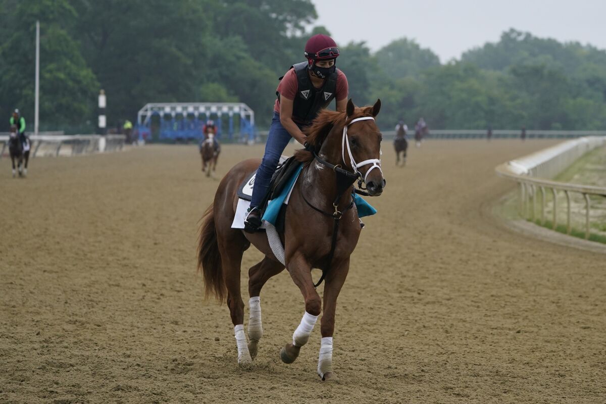 Known Agenda trains ahead of the 153rd running of the Belmont Stakes horse race in Elmont, N.Y., Thursday, June 3, 2021. (AP Photo/Seth Wenig)