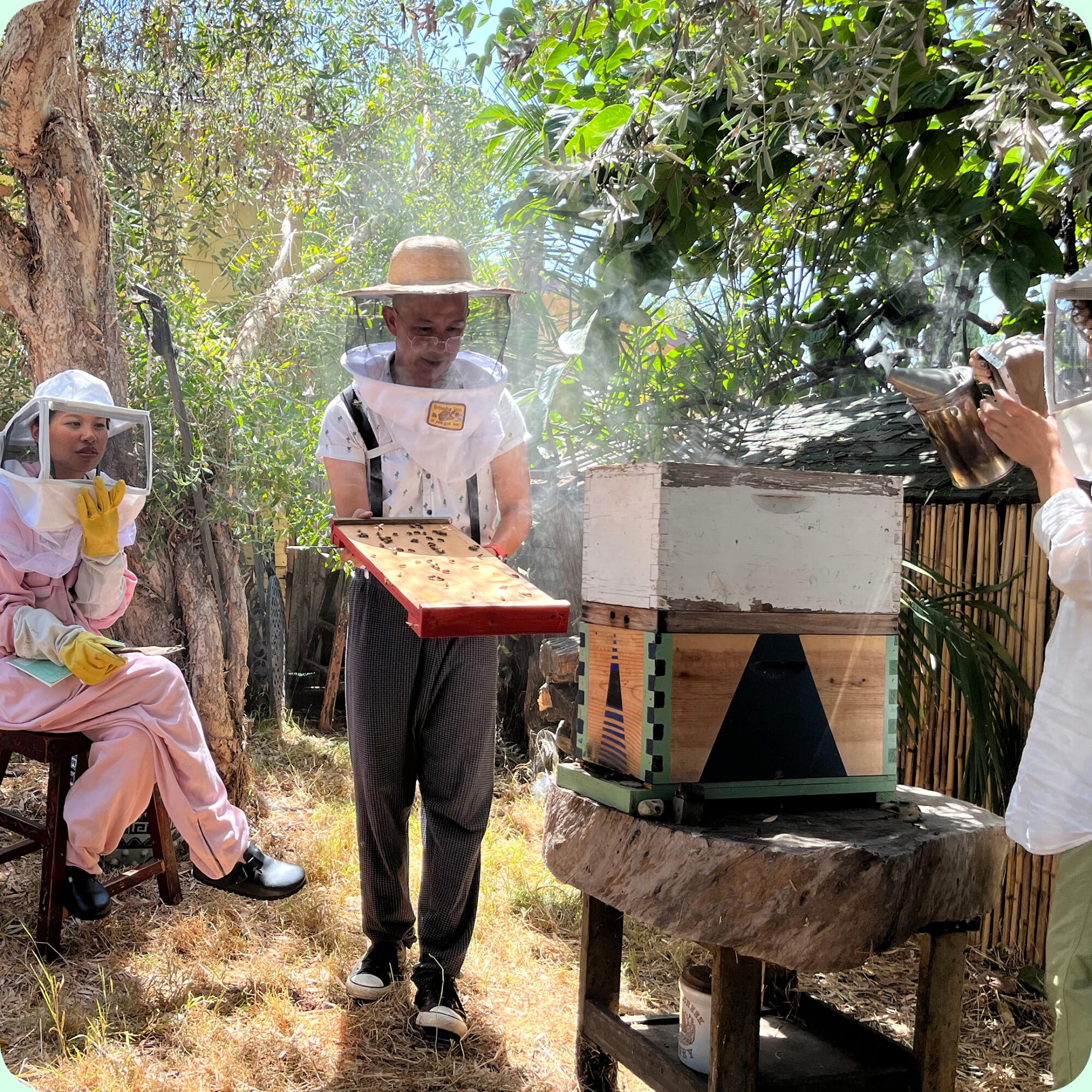 Folks wearing beekeeper veils take care of a beehive.