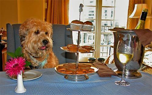 High-end hotels even offer doggy room service