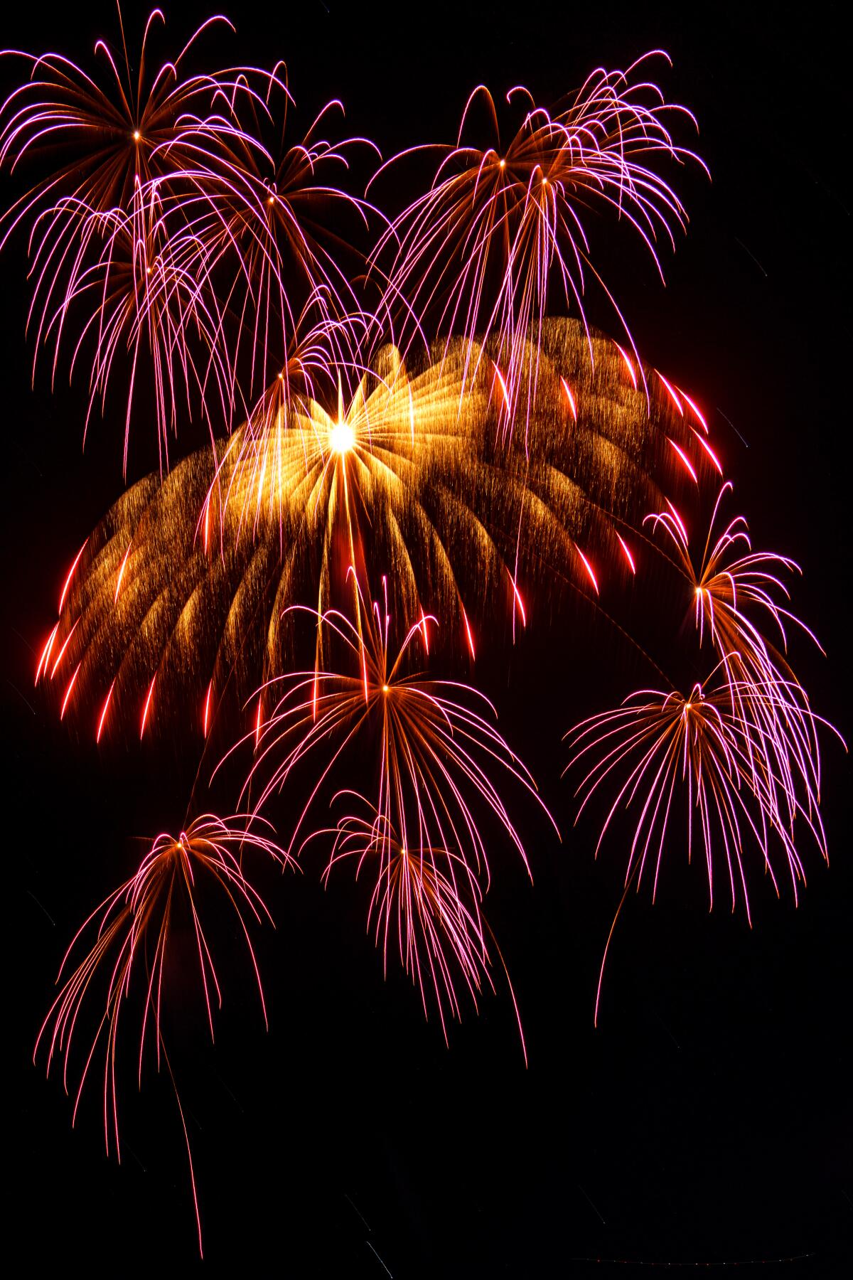 Multiple purple and gold fireworks explode into the night.