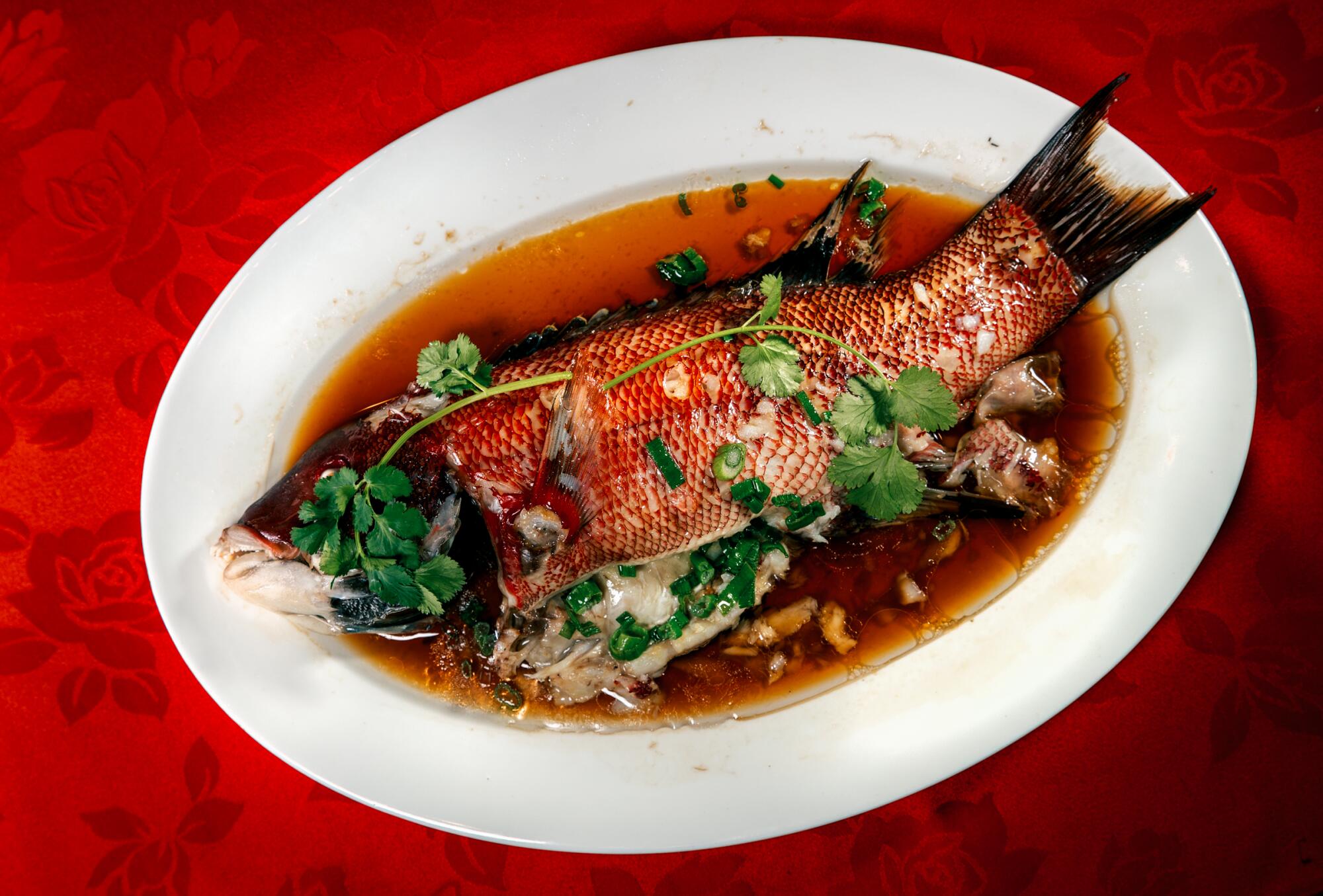 Whole steamed fish with ginger and scallions from Taste of MP restaurant for Lunar New Year.