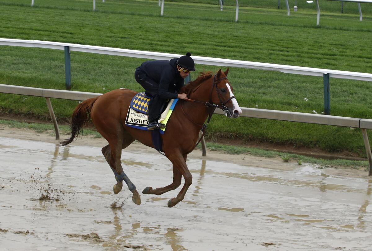 Justify, with exercise rider Humberto Gomez, gallops around the track at Pimlico Race Course on Thursday.