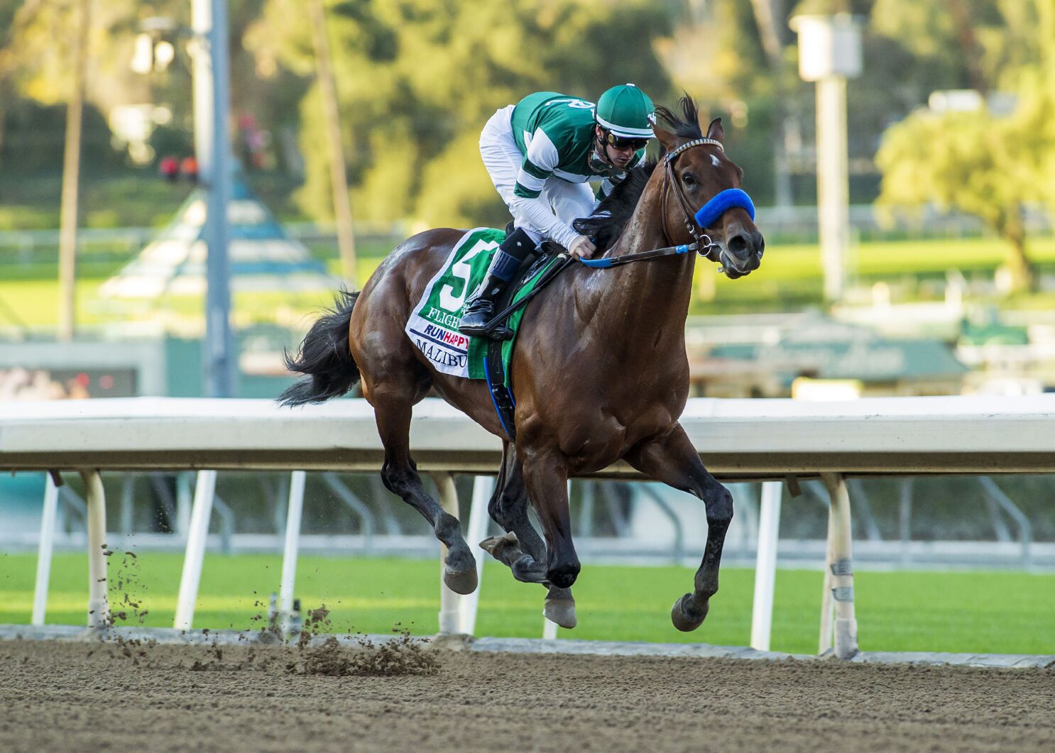Flightline Dominates In Malibu Stakes Victory At Santa Anita Los Angeles Times Flightline Dominates In Malibu Stakes Victory At Santa Anita Los Angeles Times