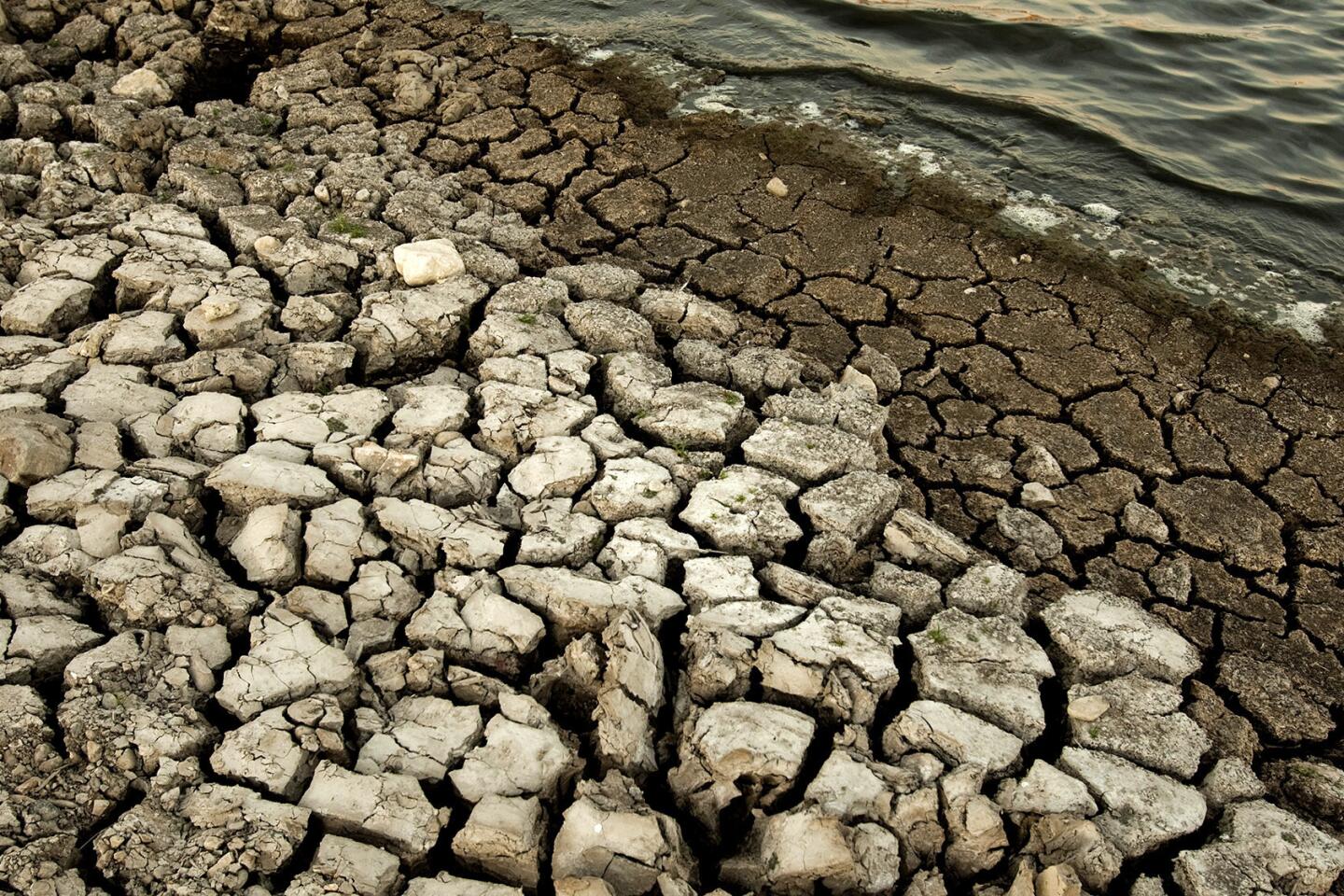 How Showering With a Bucket Helps Drought-Parched California