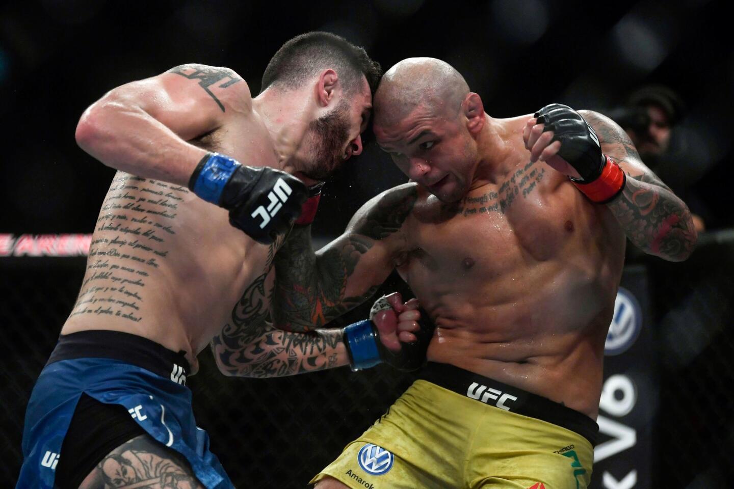 UFC 237-MMA-ALVES-STAROPOLI