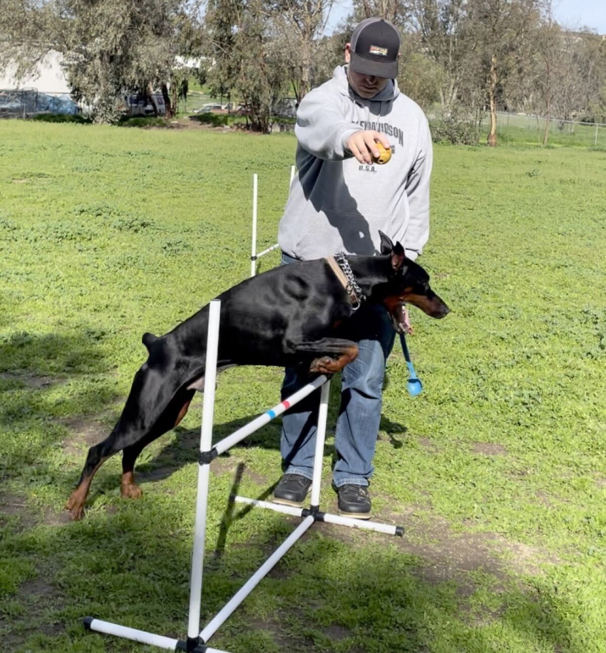 Danny Marinshaw ayuda a su perro a hacer ejercicio en su parque para perros de 3 acres en Ramona.