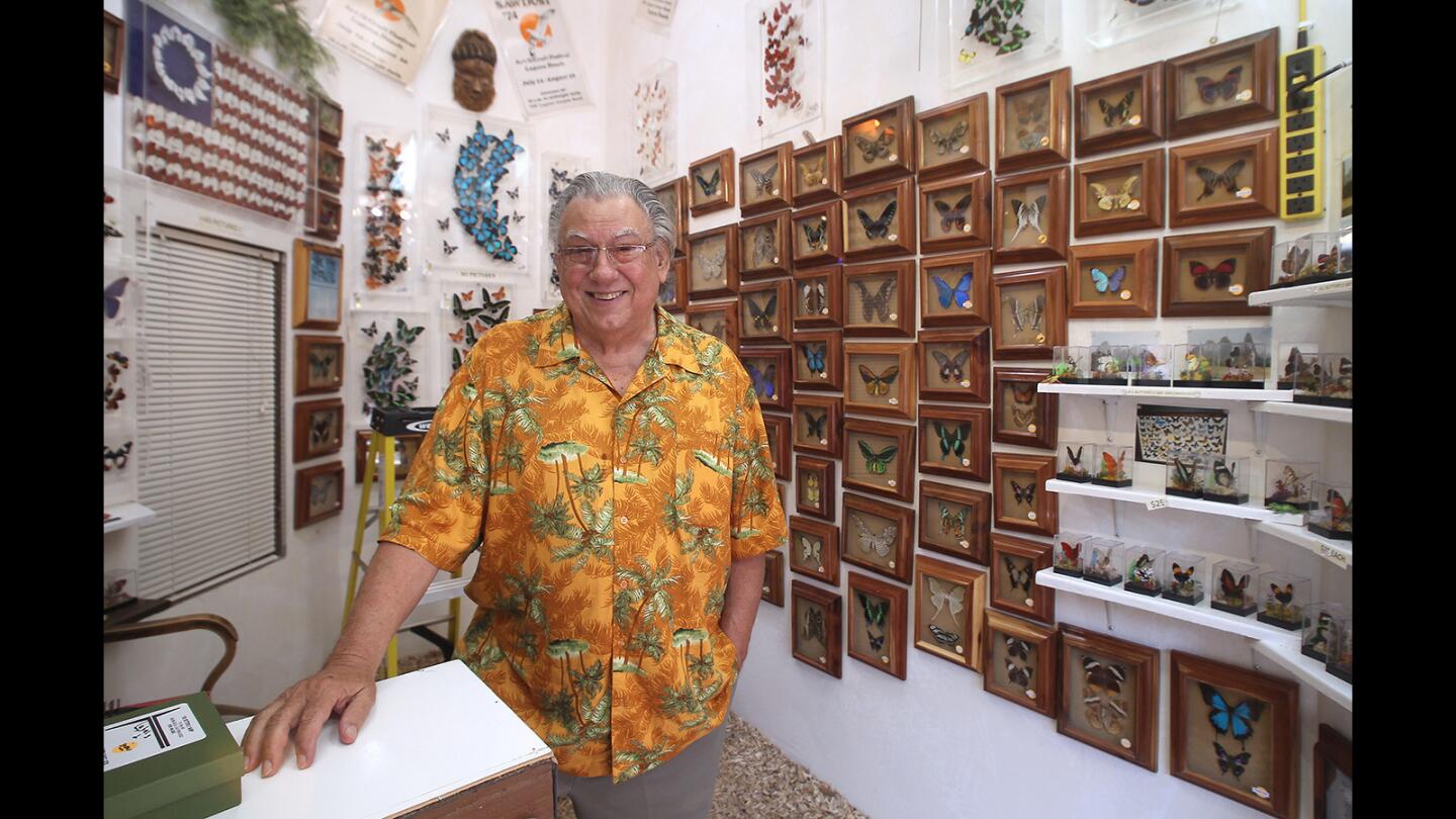 Sawdust Festival's Butterfly Man