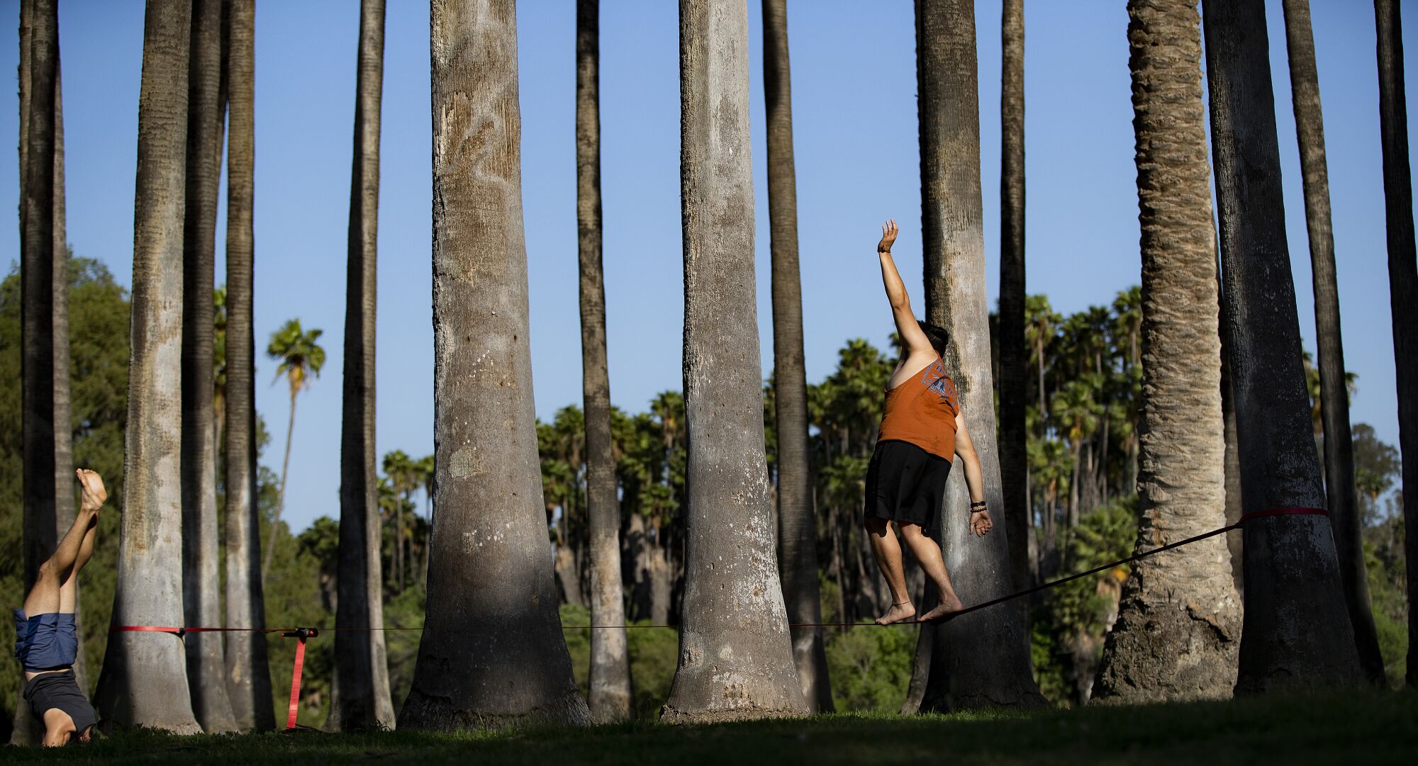 Jesus Duenas of Riverside practices his slack lining while his brother Alfred Duenas, left, does strength exercises amongst the seclusion of palm trees in Fairmount Park during the coronavirus pandemic n Riverside.