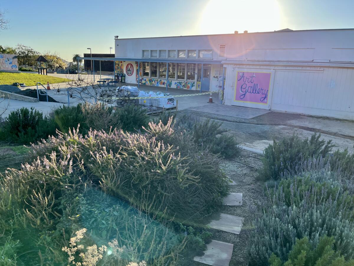 The SDA garden has been a work in progress by students over the last seven years.