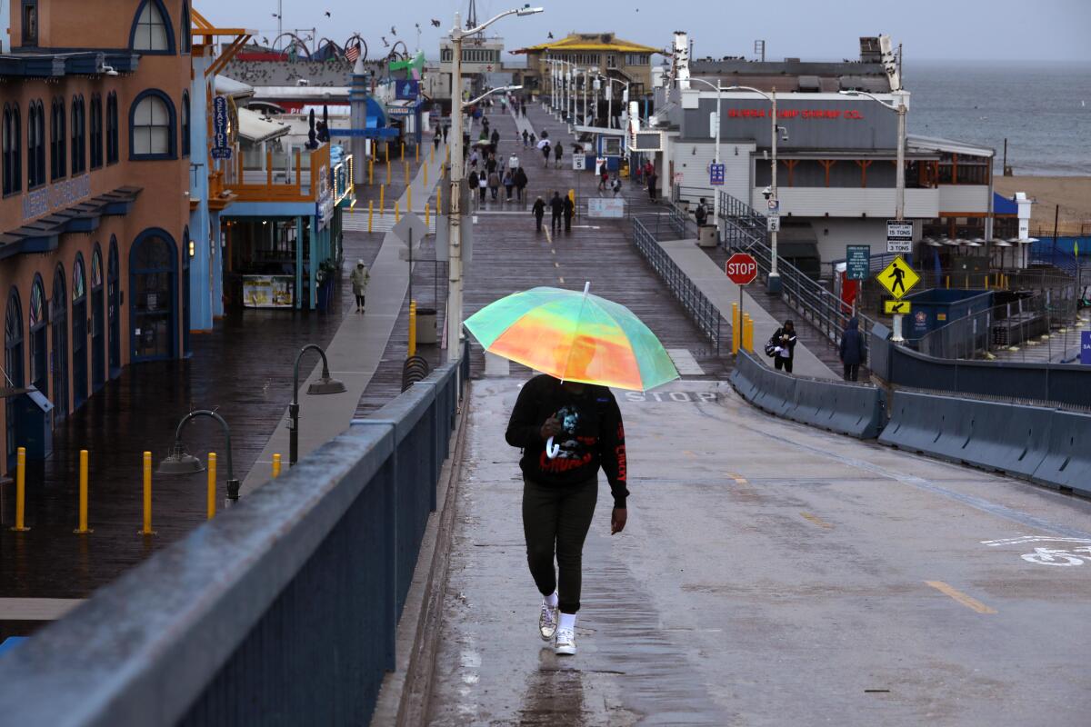 Person walking with an umbrella