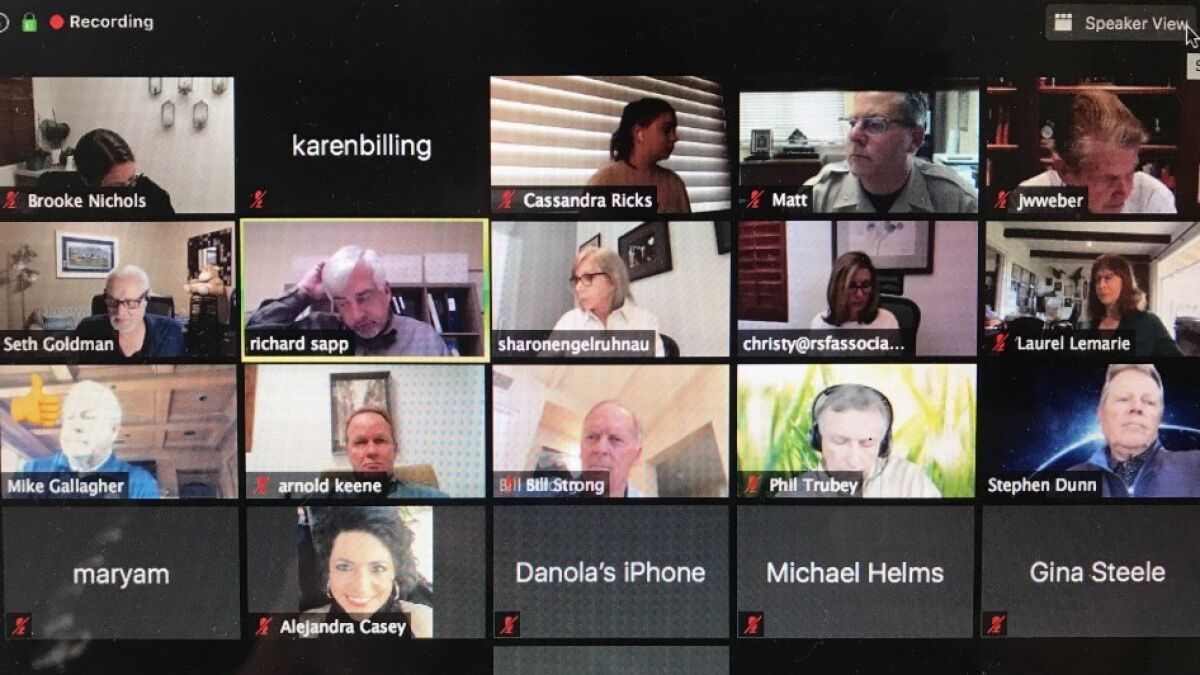 The RSF Association board's first virtual meeting.