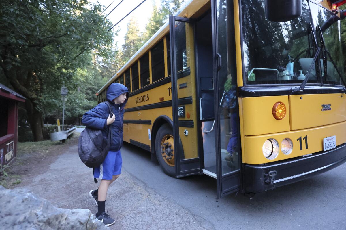 A child prepares to board a school bus