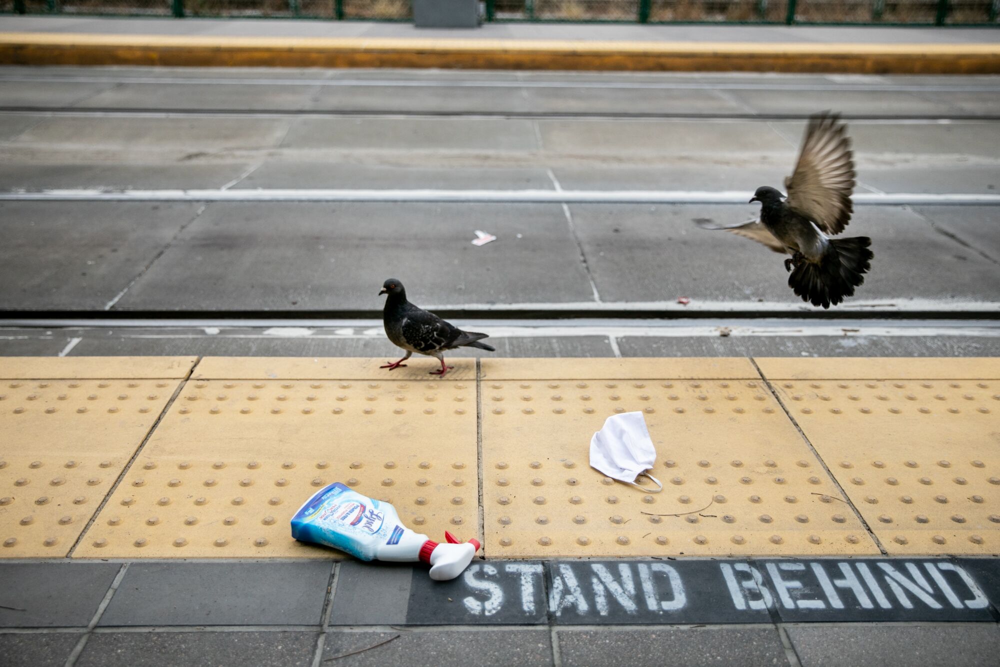 The Seaport Village Trolley Station is largely empty, save for pigeons pecking around a discarded mask and bottle of Lysol