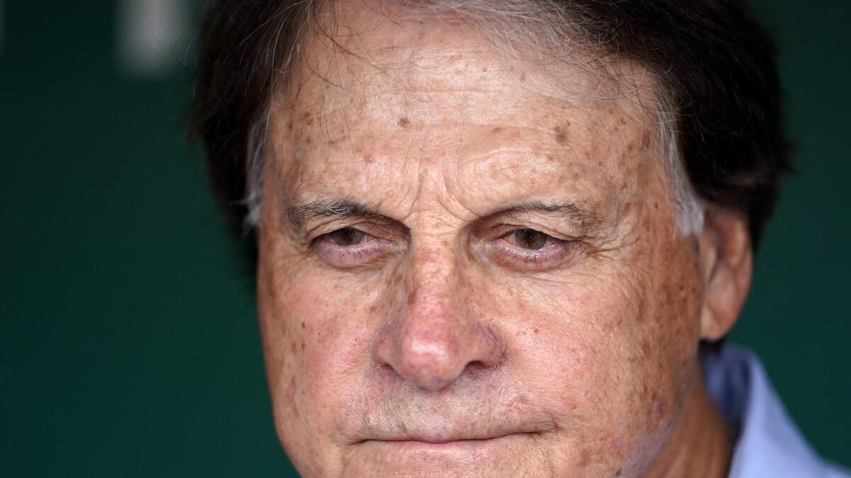 Tony La Russa returns to playoffs with Chicago White Sox - The San Diego  Union-Tribune