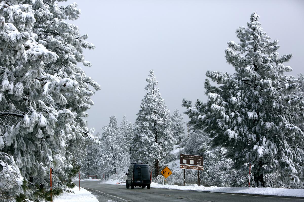 Snow blankets Angeles National Forest on Jan. 30, 2023.