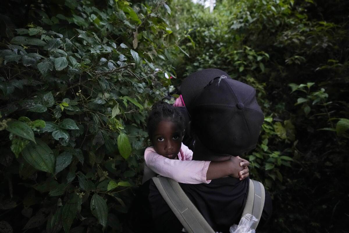 FILE - This Sept. 15, 2021 file photo shows a young migrant being carried north near Acandi, Colombia. The number of minors who risked their lives to cross the Darien Gap, the inhospitable stretch of land that separates Colombia and Panama, reached a record high of 19,000 between January and September, UNICEF revealed Monday, Oct. 11, 2021, saying that the rapid increase should be addressed as a serious regional humanitarian crisis. (AP Photo/Fernando Vergara, File)
