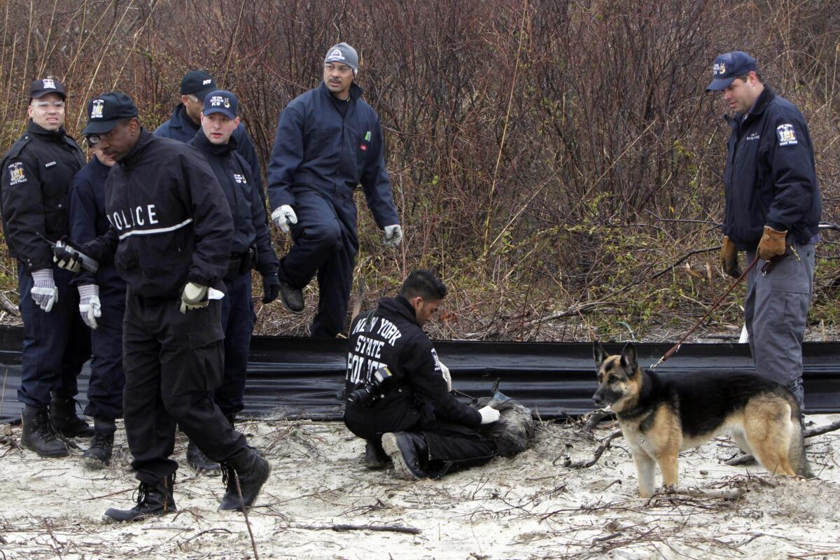 Police investigators with a dog gather at a roadside.