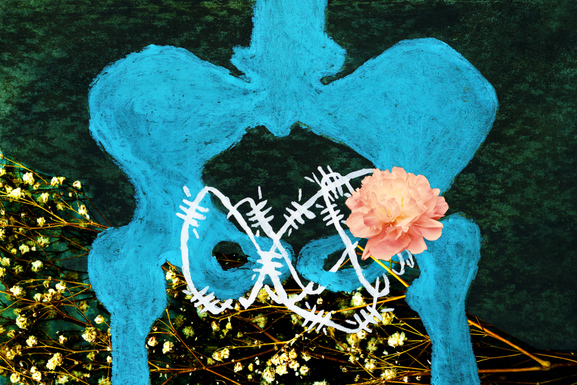 A blue oil pastel drawing of a pelvic bone wrapped in painted barbed wire and a collaged photograph of a rose 