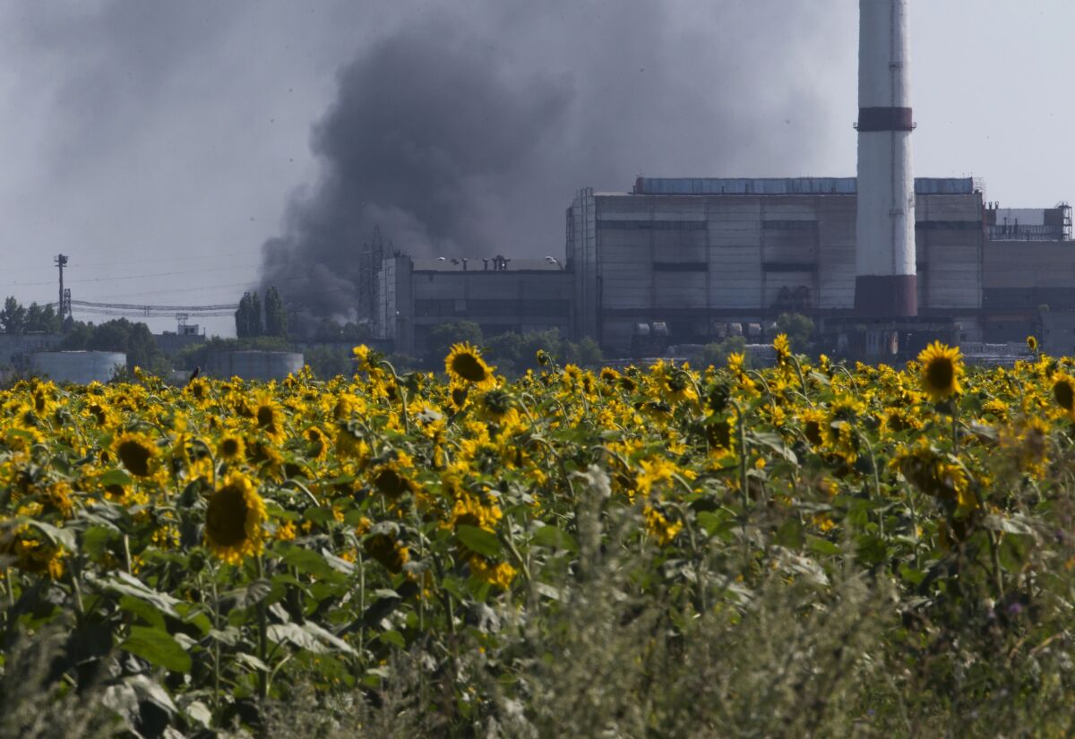 FILE - Smoke from an oil refinery rises over a field of sunflowers near the city of Lisichansk, Luhansk region, eastern Ukraine on July 26, 2014. Prices for food commodities like grains and vegetable oils reached their highest levels ever last month because of Russia's war in Ukraine and the “massive supply disruptions” it is causing, the United Nations said Friday, April 8, 2022. (AP Photo/Dmitry Lovetsky)