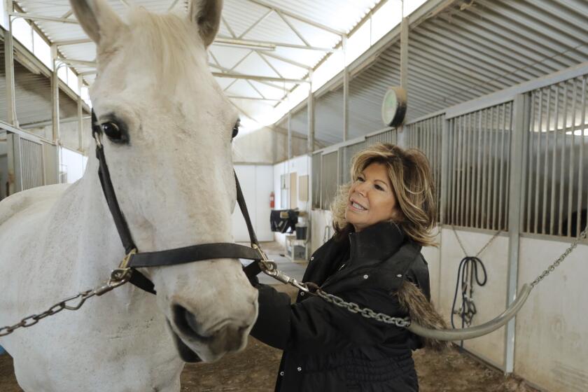 MOORPARK, CA -- DECEMBER 17, 2019: Anne Scioscia, wife of former Los Angeles Angels of Anaheim baseball manager Mike Scioscia, with Tommy at his home in Moorpark. She adopted the 26-year-old half draft / half Arabian horse, named after the Thomas fire, that was found in bad shape and taken to the Humane Society of Ventura County in Ojai for care. She adopted him after reading about his story in the Ventura County Star. (Myung J. Chun / Los Angeles Times)