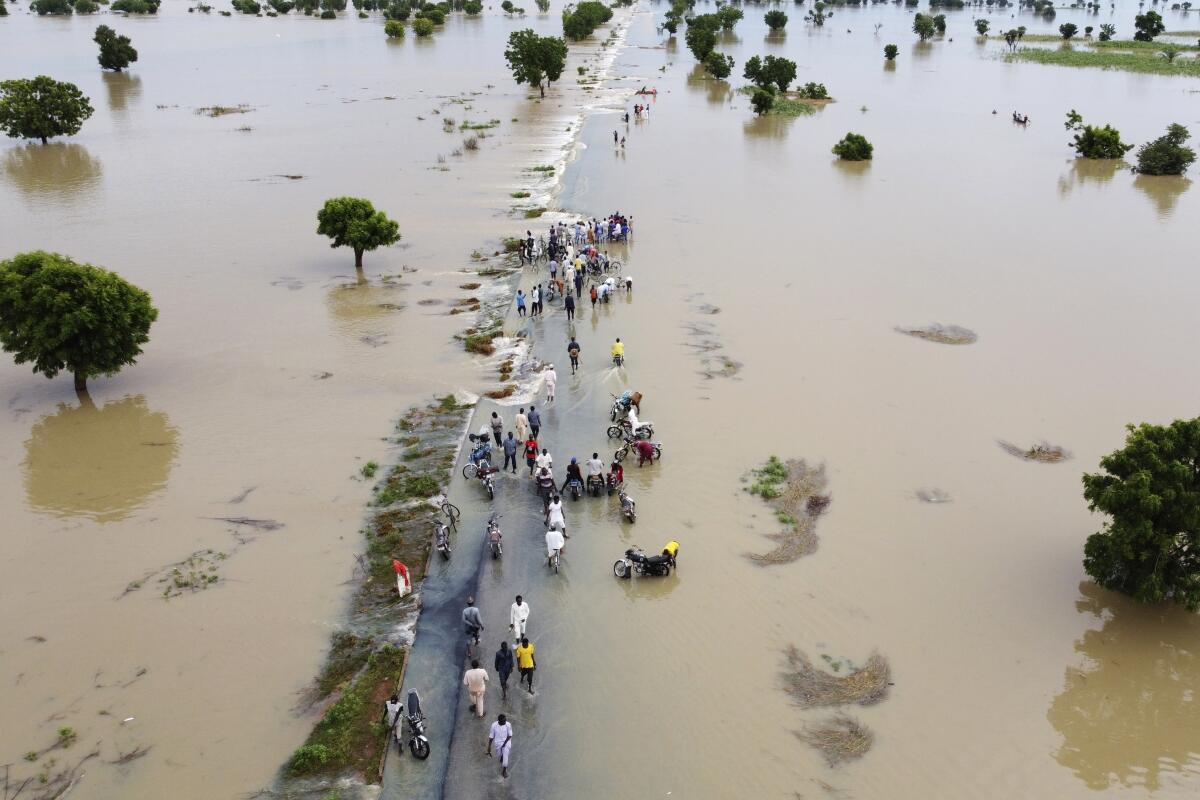 An aerial view of people walking along a road surrounded by high water