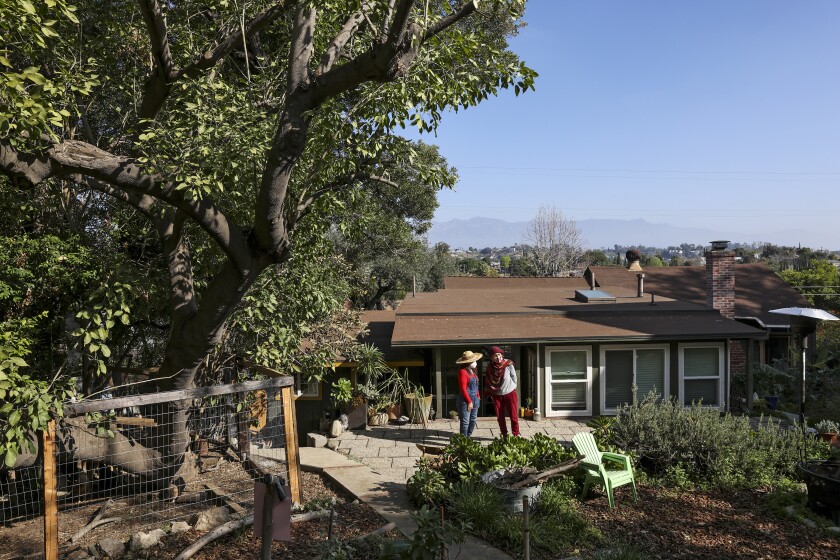 Two women stand in the shadow of a tree in a garden beside a house.