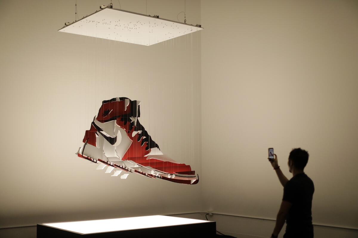 Michael Murphy's perceptual art Air Jordan