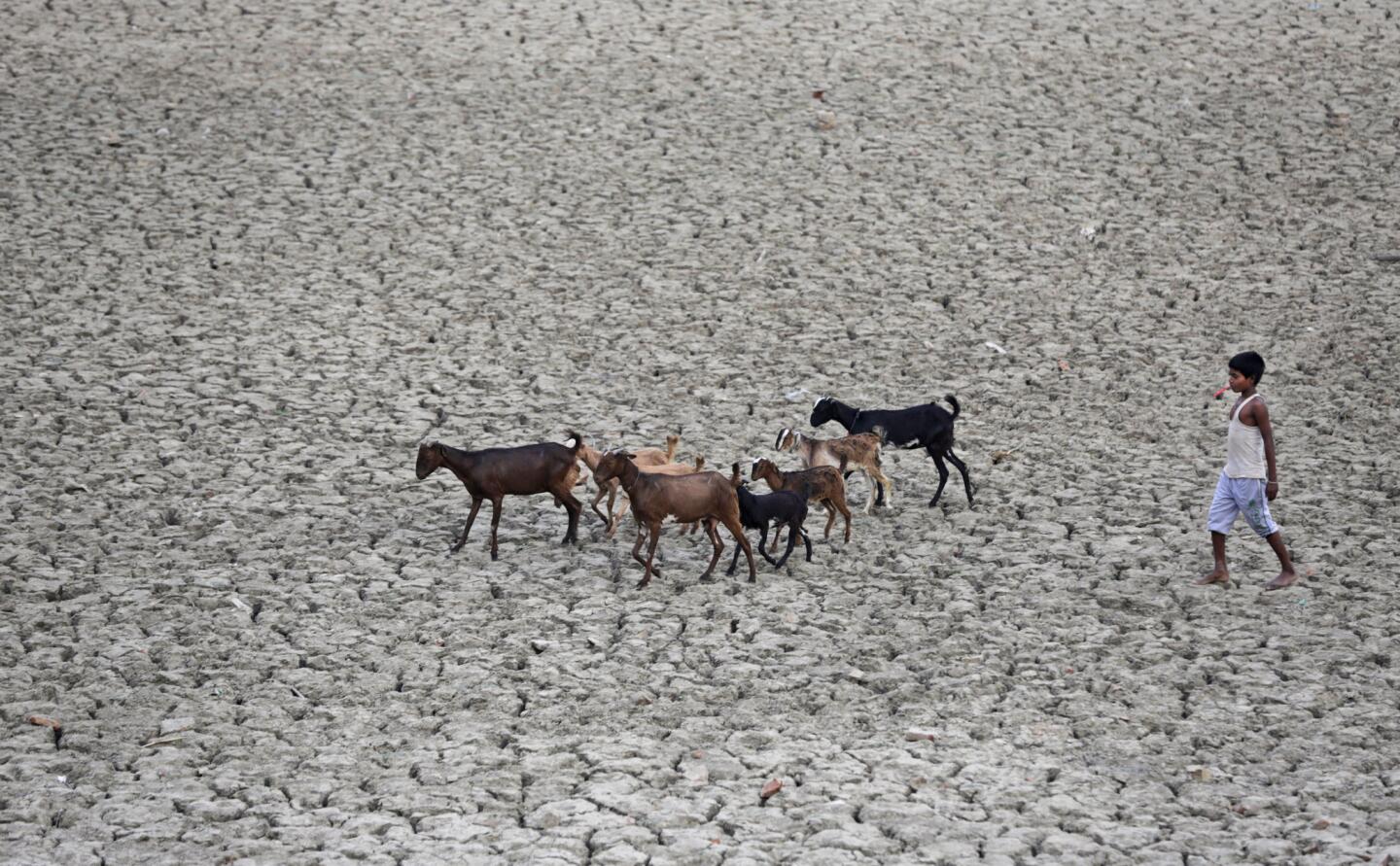 Parched India