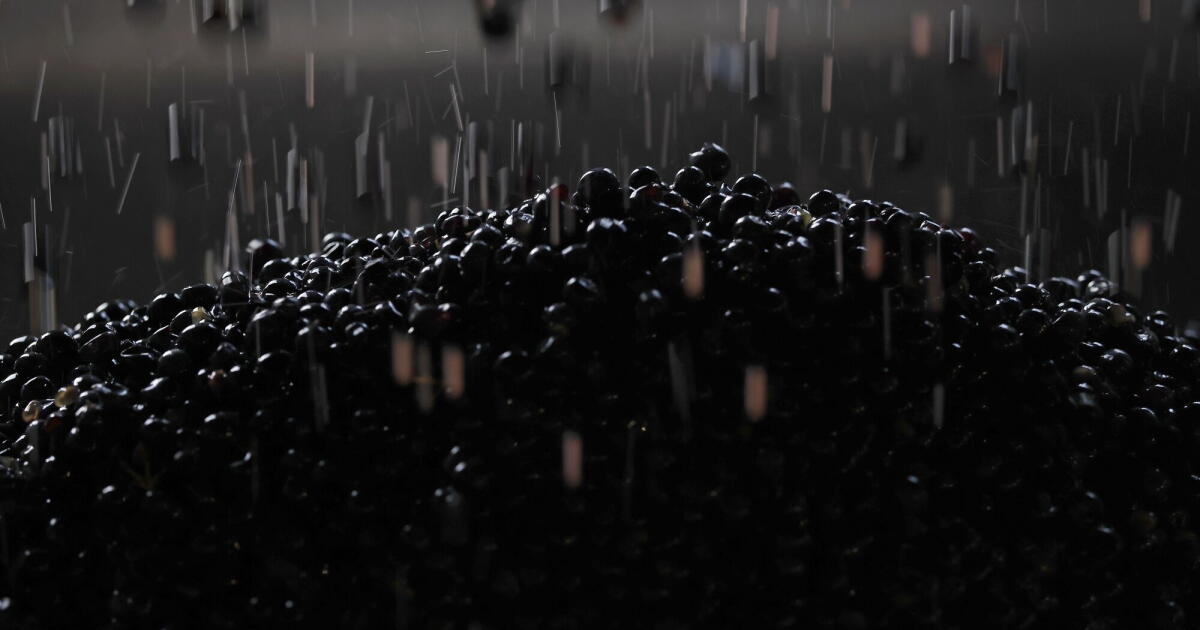 California wine glut sends premium bottles to Costco, Aldi and Kroger at bargain...