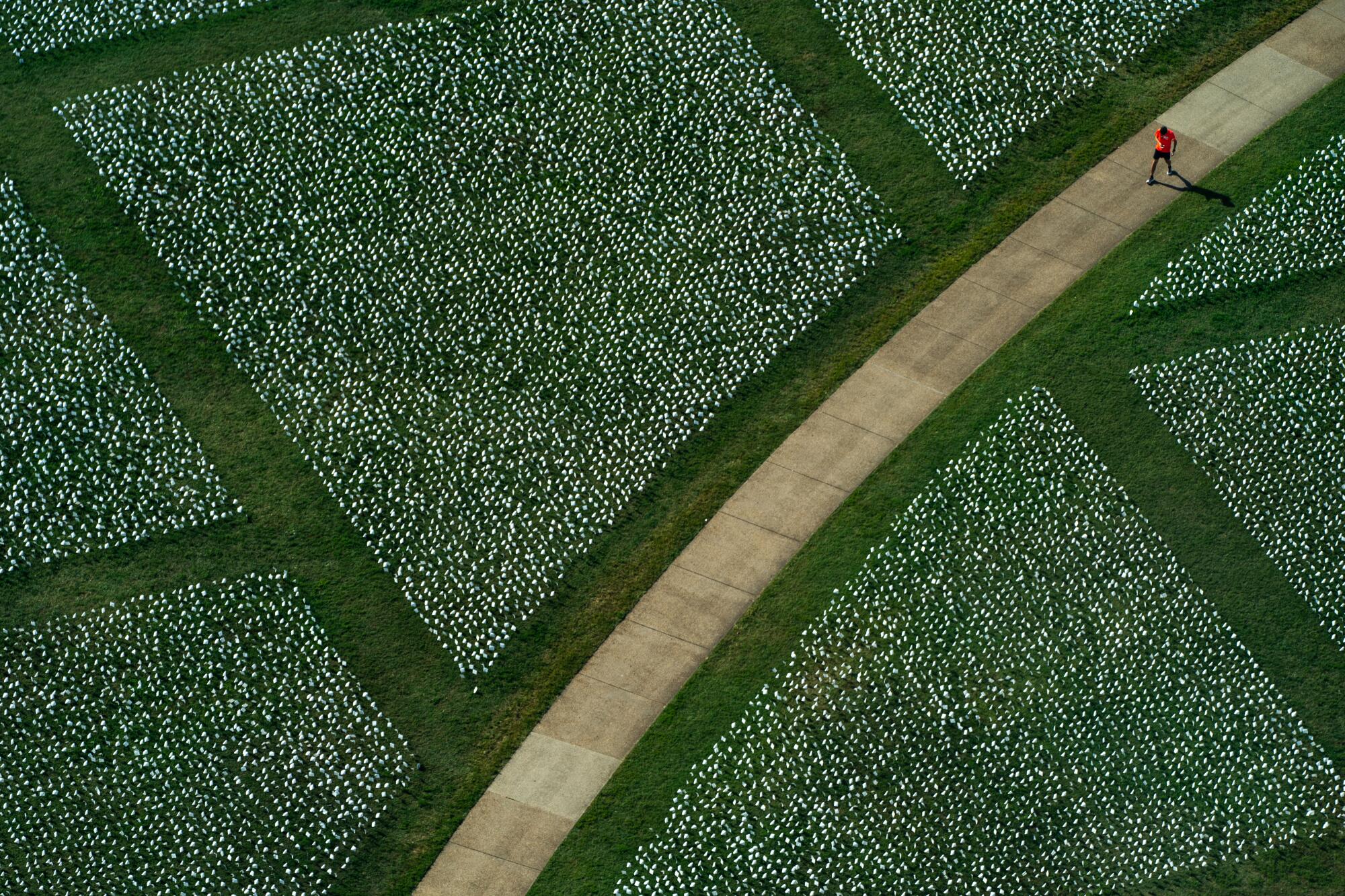 Aerial view of someone walking on a pathway between blocks of white flags planted in the grass