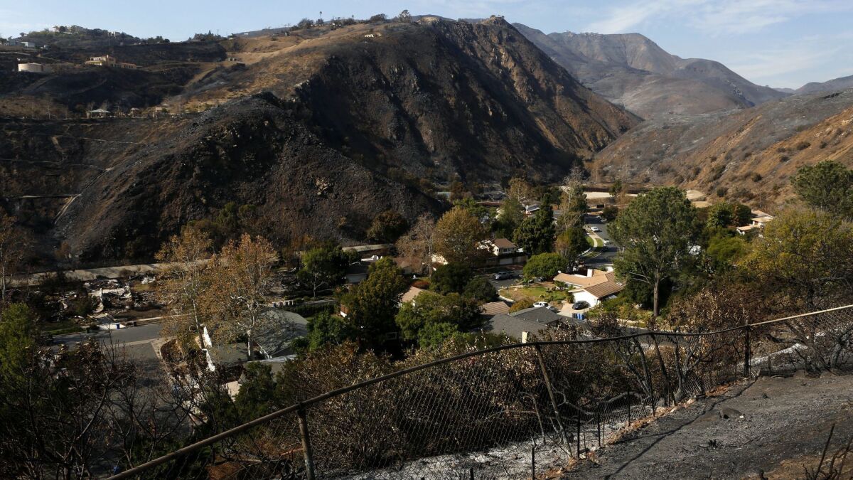 Hills surrounding a neighborhood in the Trancas Canyon area of Malibu have been stripped of vegetation by the Woolsey fire. Experts say there's a risk of debris flows if rainfall exceeds half an inch per hour.