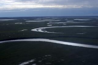 En esta imagen, tomada el 8 de julio de 2004 y distribuida por el Servicio Geológico de Estados Unidos, se muestra Fish Creek, en la Reserva Nacional de Petróleo en Alaska, gestionada por la Oficina de Administración de Tierras en el norte de Alaska. (David W. Houseknecht/Servicio Geológico de Estados Unidos vía AP)
