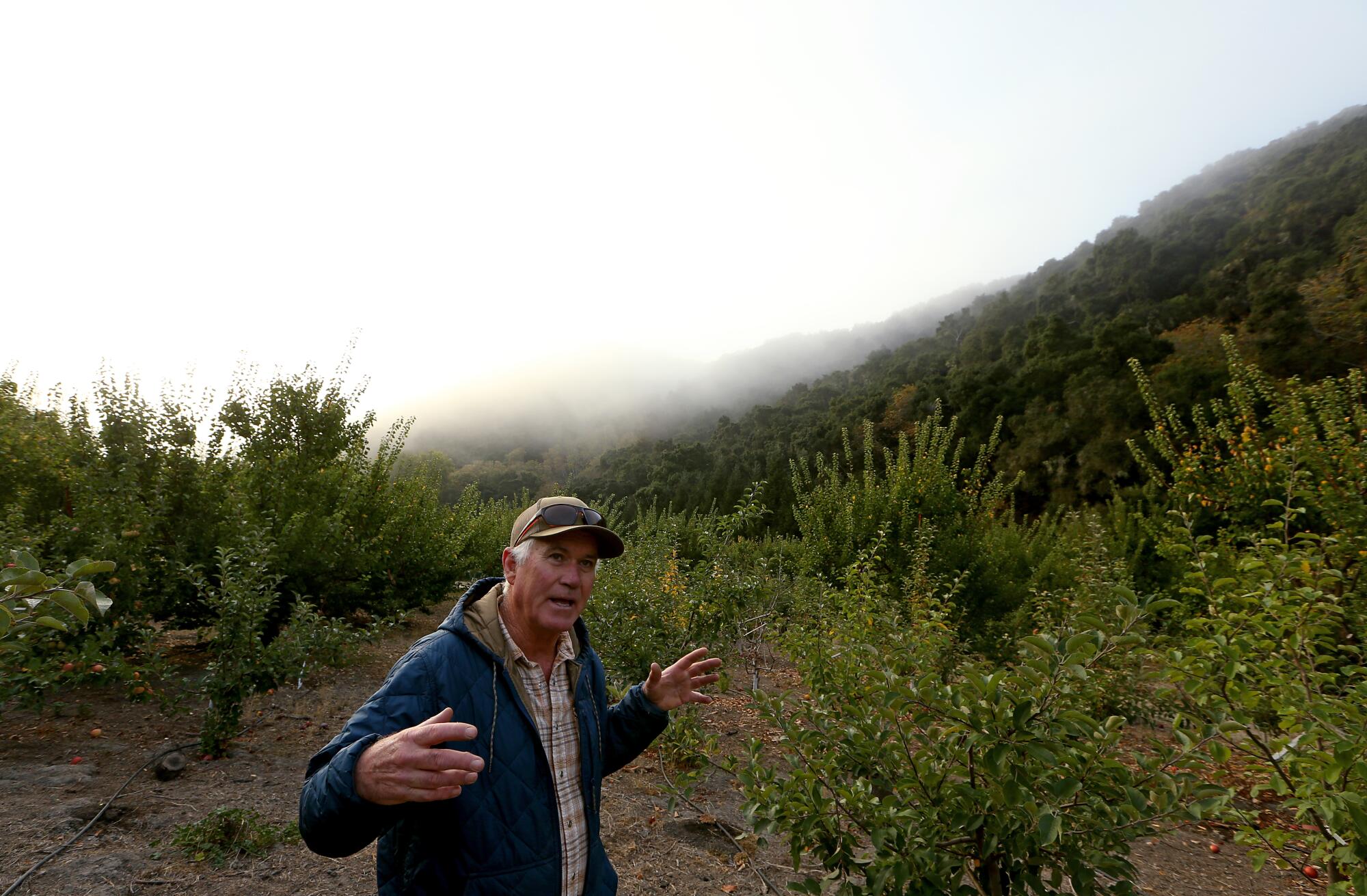 A man stands outdoors and gestures with his hands as a heavy mist hovers behind him. 