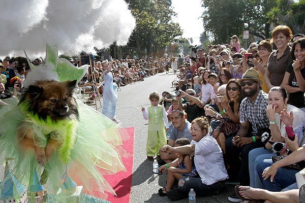 Tinker Bell is a crowd pleaser as hundreds of dogs in costume turned out with their owners for the Haute Dog Howl'oween Parade in Long Beach on Oct. 30, 2011.