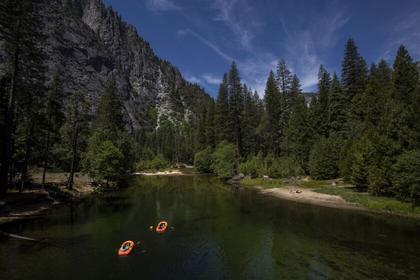YOSEMITE NATIONAL PARK, CA - JUNE 11: Rafters paddle down the Merced River in Yosemite Valley as the park is open for the first time in 2½ months after closing because of the coronavirus on Thursday, June 11, 2020 in Yosemite National Park, CA. (Brian van der Brug / Los Angeles Times)