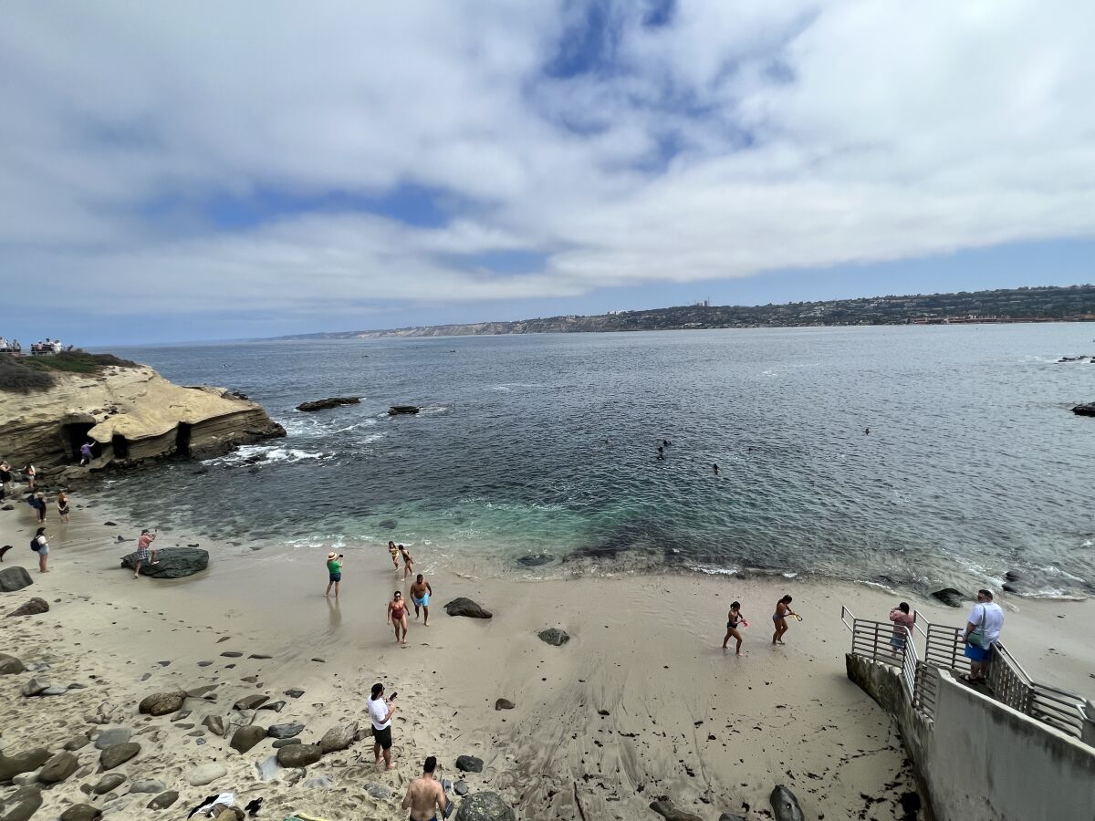 The water at La Jolla Cove was deemed to have bacteria levels exceeding state standards Aug. 25.