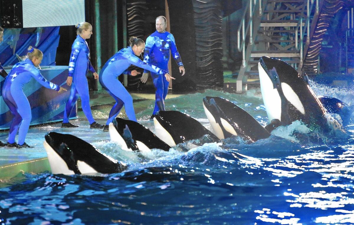 A settlement between SeaWorld San Diego and state regulators spells out how close trainers can be to the water’s edge — 18 inches to 3 feet — when working with the killer whales on so-called slideouts that are part of the Shamu show.