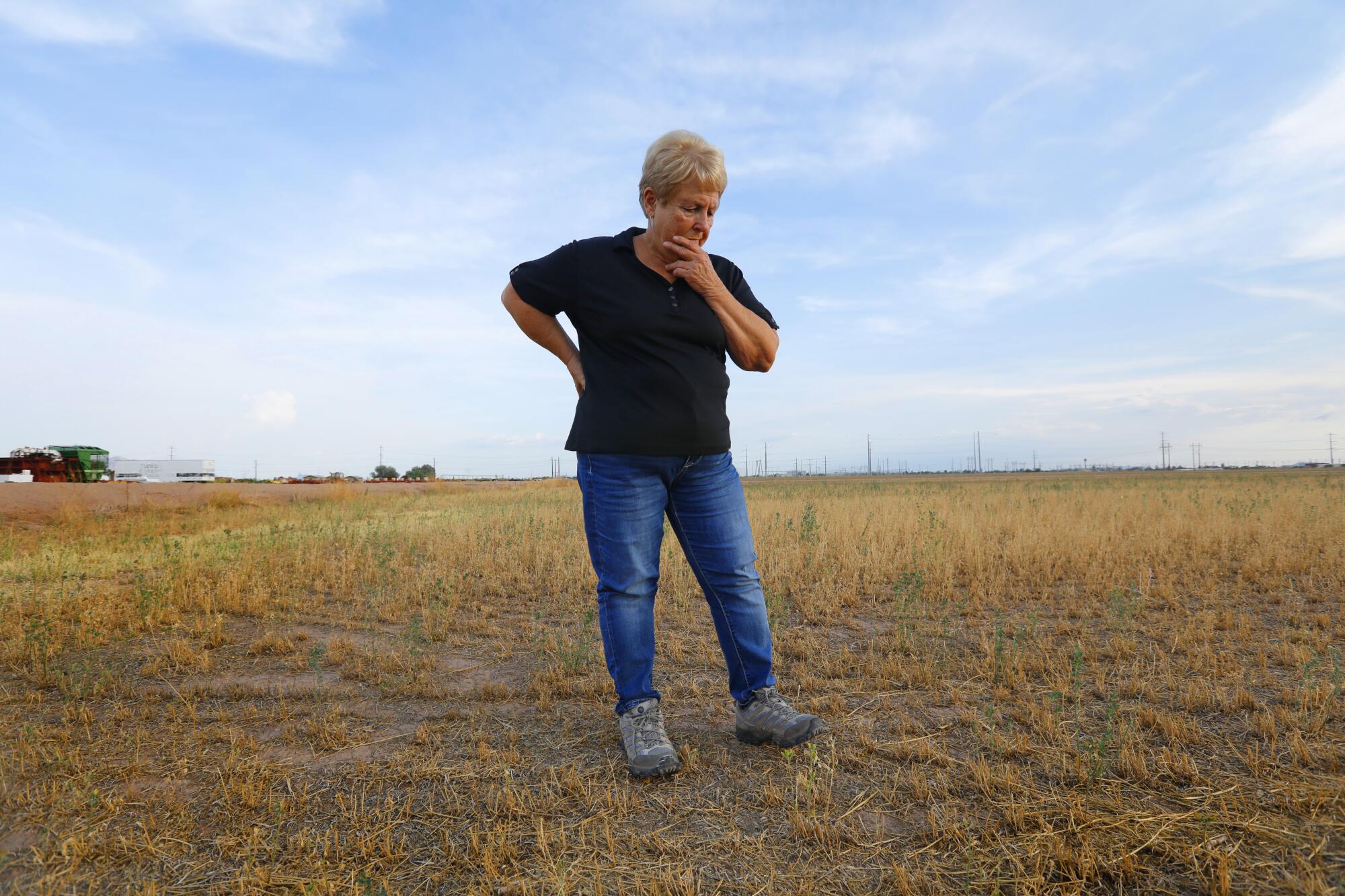 Caywood stands in what used to be an alfalfa field.