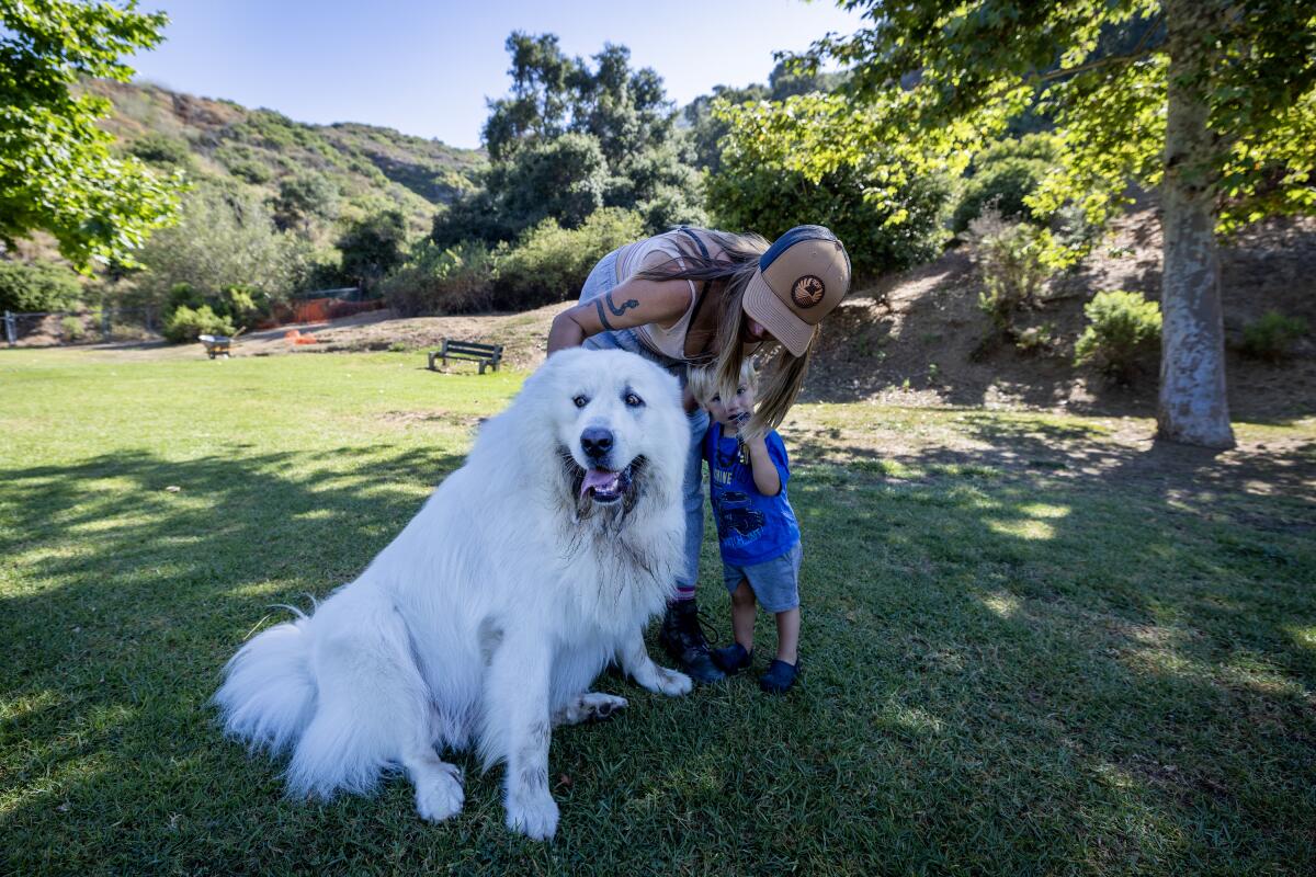 A woman leans down over a large white dog and young child.